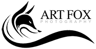Art Fox Fotograf Koblenz Webdesigner Koblenz